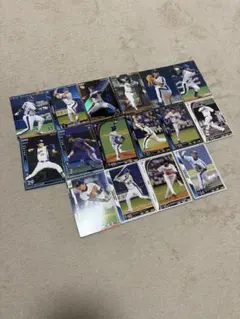 プロ野球カード 中日ドラゴンズ オーナーズリーグ プロ野球チップス