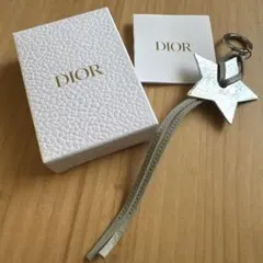 ディオールノベルティ