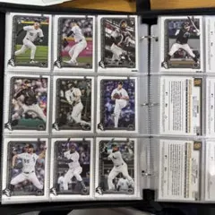 Item thumbnail for item 02c93f4e-949f-4de4-8a0a-981e988a3e20