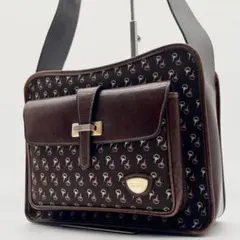 極希少 GUCCI ショルダーバッグ カメラバッグ レザー ホースビット柄