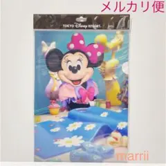 クリアホルダー　ミニー　イマジニングザマジック　ミニスタ　TDR限定