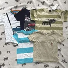 Item thumbnail for item 774a4b29-7be5-4dc1-8a59-493a40af79a8