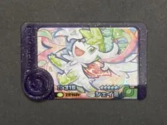 Item thumbnail for item 886e34a4-dfc5-430d-a7be-c3119f0899a3