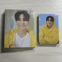 seventeen heaven carat盤 ホシ