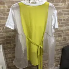 ZARA♡オーガンジートップス