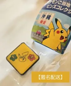 ポケモンセンターヒロシマ ロゴピンズ 新品未開封 ポケセン広島 - メルカリ
