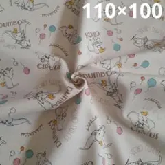 Item thumbnail for item d8e2ca91-5ce3-450d-b195-87a50bde3327