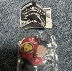 バレーボール男子日本代表 うちわアクリルチャーム 大塚達宣選手