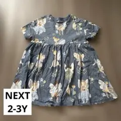 NEXT ワンピース　2-3Yのサムネイル