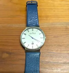 （電池交換済）SKAGEN DENMARK J355XLSLBVのサムネイル