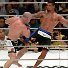 ヒカルド アローナ ファイトショーツ パンツ PRIDE UFC 山本 KID