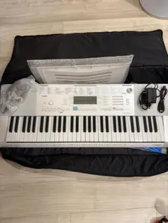 2026年最新】CASIO LK-35の人気アイテム - メルカリ