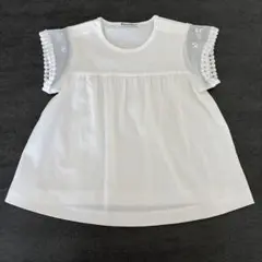 ファミリア　Tシャツ