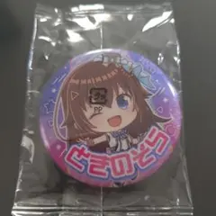プリティーリズム ヘイン 缶バッジ ほしぞらのシンフォニア - メルカリ