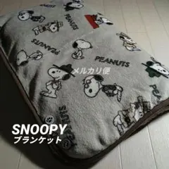 Item thumbnail for item 0247fe53-7dec-484f-ad37-726eb45a3616