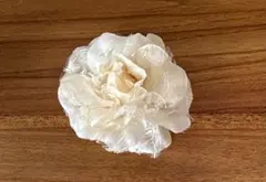 Item thumbnail for item a4969ff4-45eb-458e-816c-3983f55a7a9c