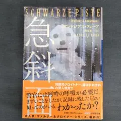 急斜面  ドイツミステリー小説 アンドレアス・フェーア