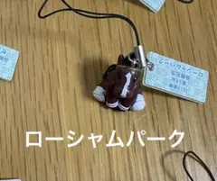 Item thumbnail for item 801eec51-55f2-417f-92e1-c85dea63bf57