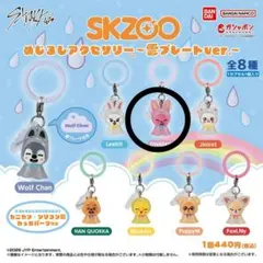 Stray Kids SKZOO めじるしアクセサリー 雲プレートver.
