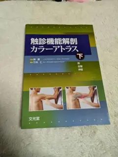 鍼灸師・柔道整復師のための局所解剖カラーアトラス = Color Atlas … 41zd0xxOEwL._AC_UF1000,