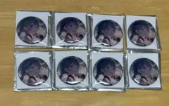 プロセカ 初音ミク 缶バッジ 56A