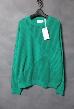 24SS YOKE ヨーク メッシュ ストライプ ニット グリーン 2