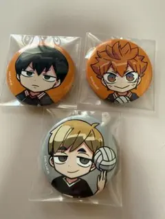 ハイキュー 缶バッジ 影山飛雄 日向翔陽 宮郁