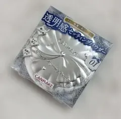 【新品未開封】CANMAKE クリアヴェールセッティングパウダー01