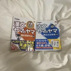 漢文・古文 ヤマのヤマ 2冊セット