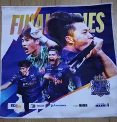 サンフレッチェ広島 11月9日（日）浦和レッズ戦 オリジナルタオル