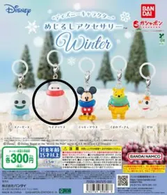 “ディズニーキャラクター” めじるしアクセサリー WINTER