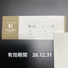 ヴィアイン　ホテル　シングルルーム　宿泊券