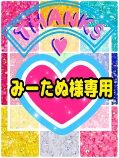 みーたぬ様専用①╰(*´︶`*)╯♡