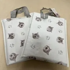 Item thumbnail for item 1ba64ffb-8529-43fa-b4b5-b27891ac7d42