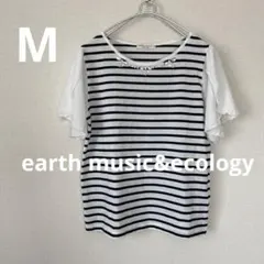 Item thumbnail for item a4c37fda-d398-419b-992b-f611077859b4