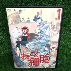 2026年最新】はたらく細胞 dvd 全巻の人気アイテム - メルカリ