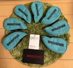 Item thumbnail for item 2b7b8d16-6258-46c9-81ff-736597c767db