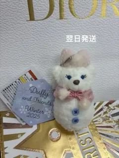 シェリーメイ 雪だるまのぬいぐるみチャーム シークレット オブスノーウィーデイ