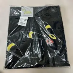 Item thumbnail for item fd4cb5a9-3e23-484b-9a98-d9b26d7d7c38