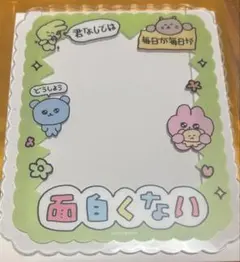 チェゴシム トレーディング硬質カードケース 硬質ケース