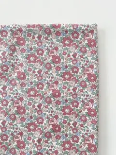 1m libertyタナローン betsy縮小版