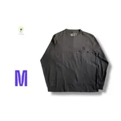 【各種割引】ダファーオブセントジョージ 吸湿 速乾 ロゴ ロング Tシャツ M