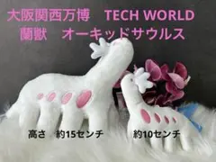 2026年最新】#オーキッドサウルスの人気アイテム - メルカリ