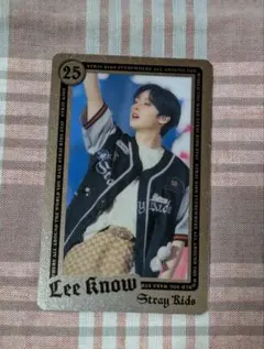 StrayKids ライブフォトカード リノ