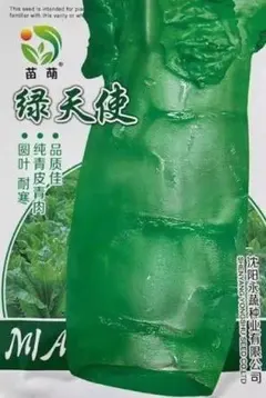 terranigma様 リクエスト 3点 まとめ商品