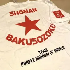 もっちー様 リクエスト 2点 まとめ商品