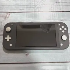 Switchライト本体のみ　グレー　液晶難あり　訳ありジャンク品