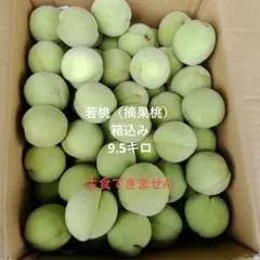 若桃（摘果桃）箱込み9.5キロのサムネイル
