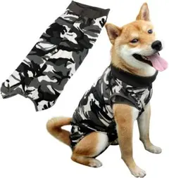 Item thumbnail for item 664e3560-1d11-42a8-b223-e836f46c1a14