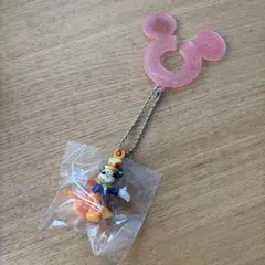 ディズニーリゾート　40周年　ミッキー